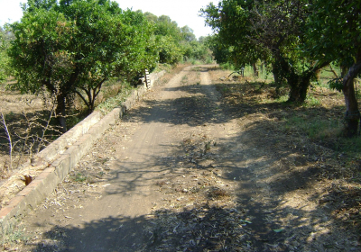 Casa Vacanze Casale Casale Dei Limoni